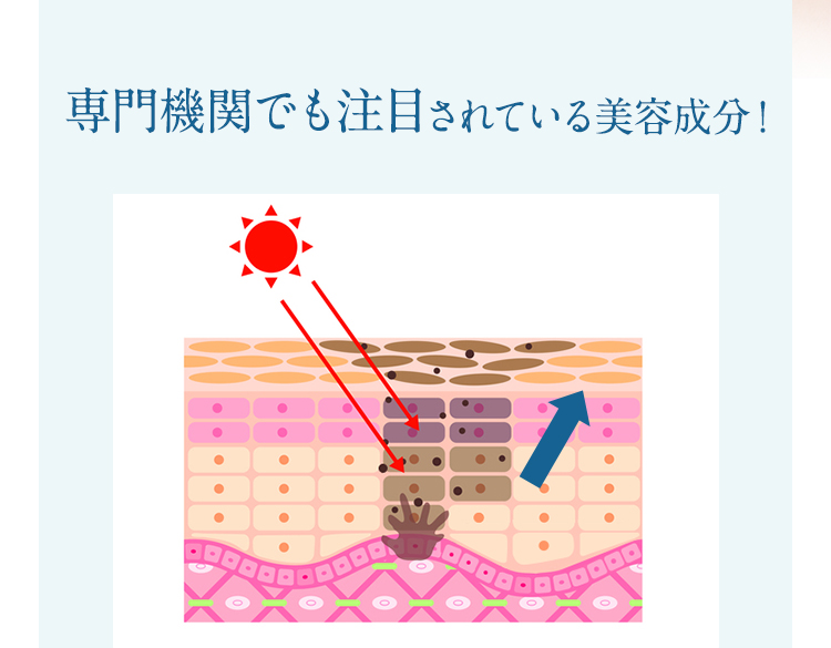 専門機関でも注目されている美容成分！