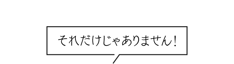 それだけじゃありません！