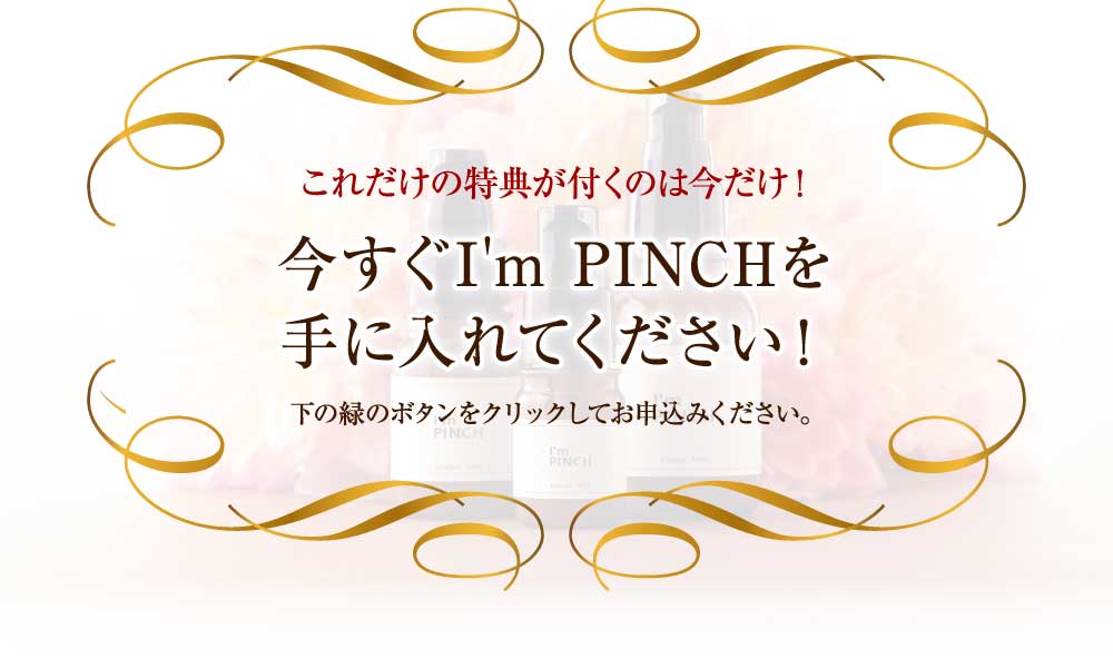 これだけの特典が付くのは今だけ！今すぐI'm PINCHを手に入れてください！下の緑のボタンをクリックしてお申込みください。