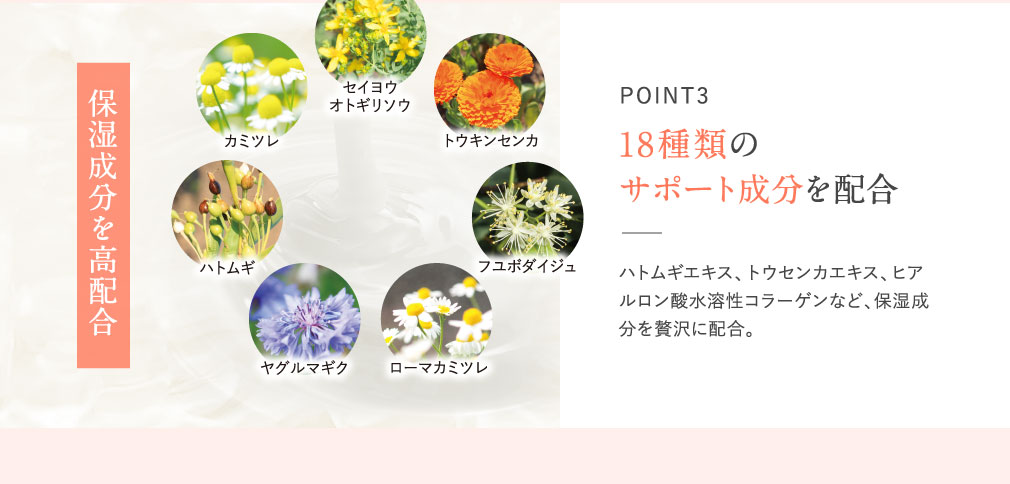 POINT3 18種類のサポート成分を配合