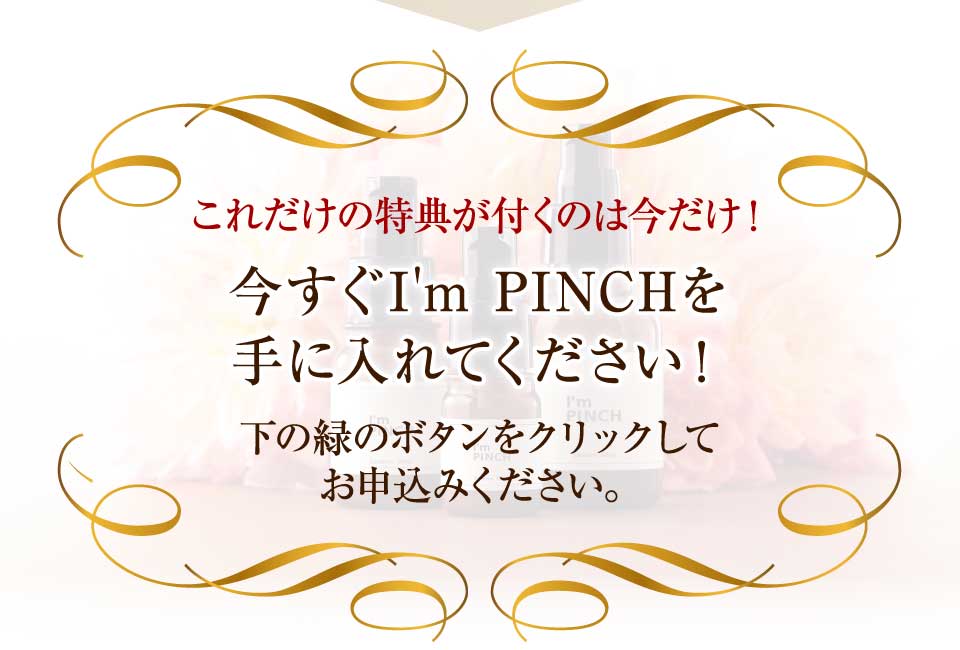 これだけの特典が付くのは今だけ！今すぐI'm PINCHを手に入れてください！下の緑のボタンをクリックしてお申込みください。