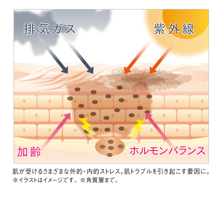 肌が受けるさまざまな外的・内的ストレス。肌トラブルを引き起こす要因に。※イラストはイメージです。 ※角質層まで。