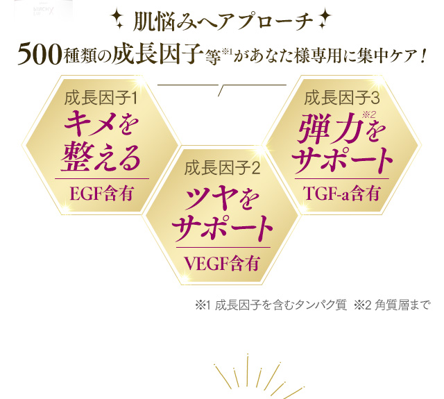 肌悩みへアプローチ500種類の成長因子等があなた様専用に集中ケア！