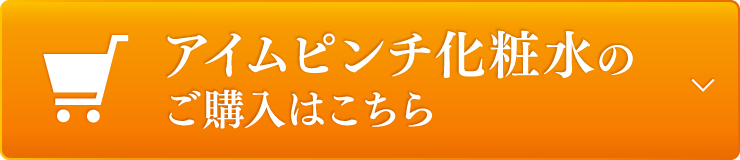 商品購入案内へ