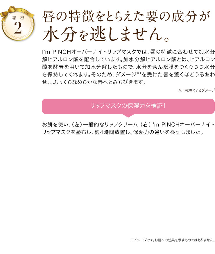 秘密その2 唇の特徴をとらえた要の成分が水分を逃しません。