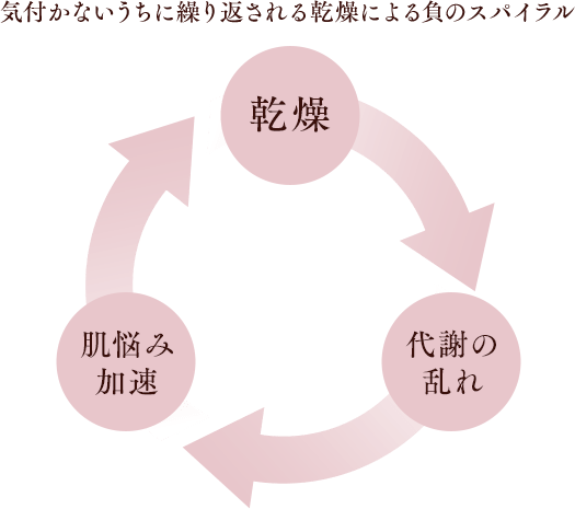 気付かないうちに繰り返される乾燥による負のスパイラル