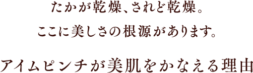 たかが乾燥、されど乾燥。ここに美しさの根源があります。アイムピンチが美肌をかなえる理由