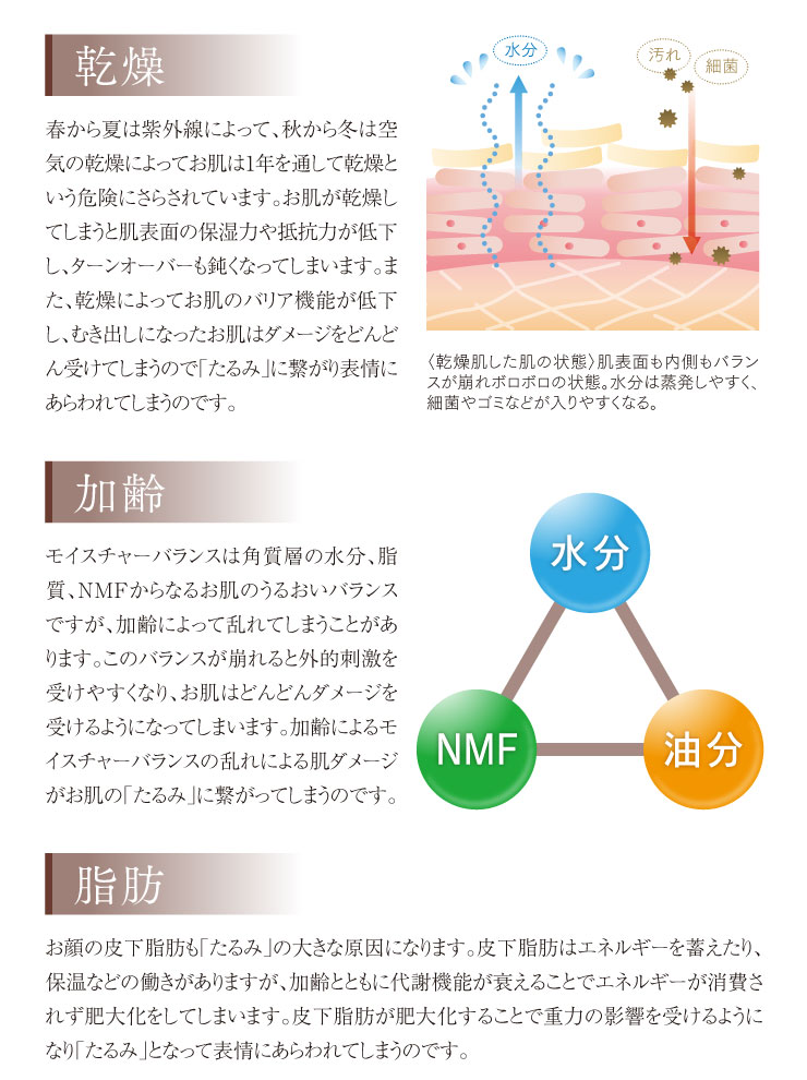 乾燥・加齢・脂肪