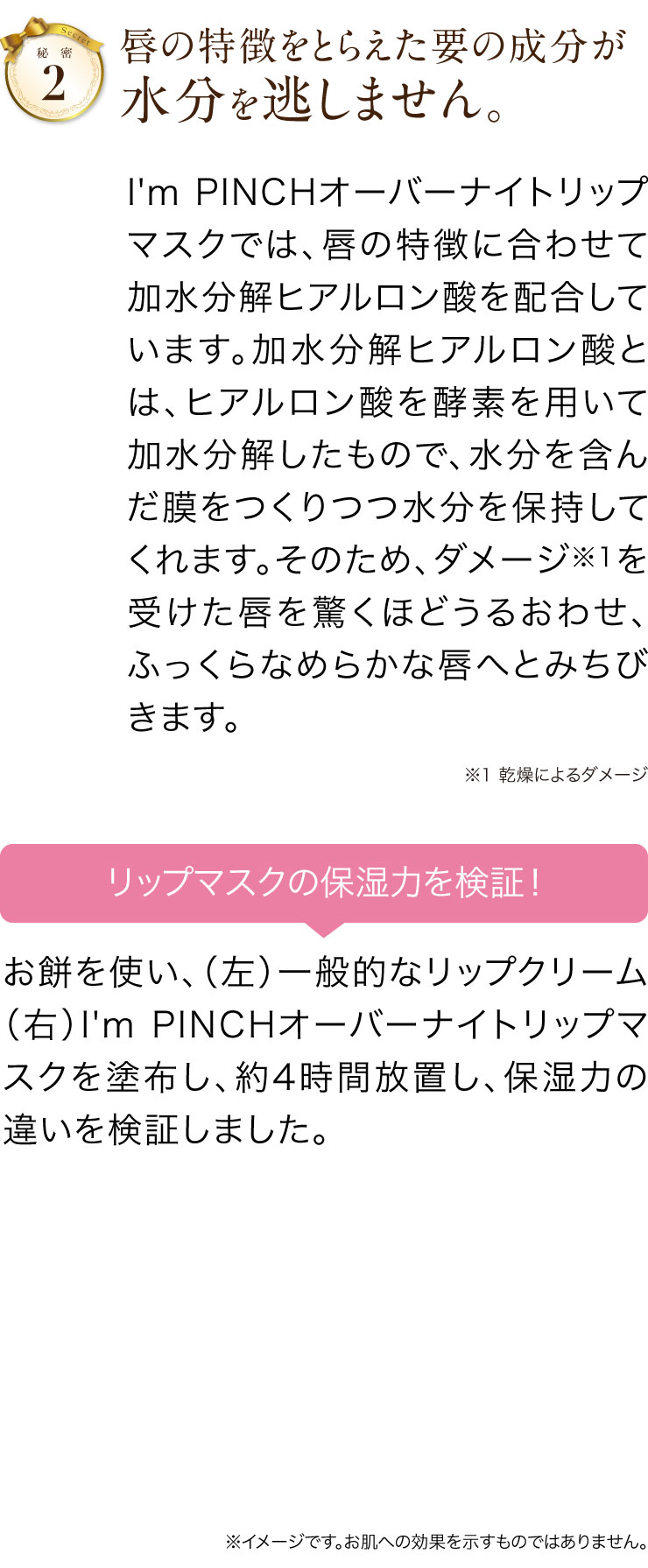 秘密その2 唇の特徴をとらえた要の成分が水分を逃しません。