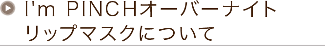 I'm PINCHオーバーナイトリップマスクについて