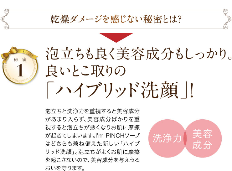 乾燥ダメージを感じない秘密とは？秘密1泡立ちも良く美容成分もしっかり。
良いとこ取りの「ハイブリッド洗顔」!泡立ちと洗浄力を重視すると美容成分があまり入らず、美容成分ばかりを重視すると泡立ちが悪くなりお肌に摩擦が起きてしまいます。
I'm PINCHソープはどちらも兼ね備えた新しい「ハイブリッド洗顔」。泡立ちがよくお肌に摩擦を起こさないので、美容成分を与えうるおいを守ります。