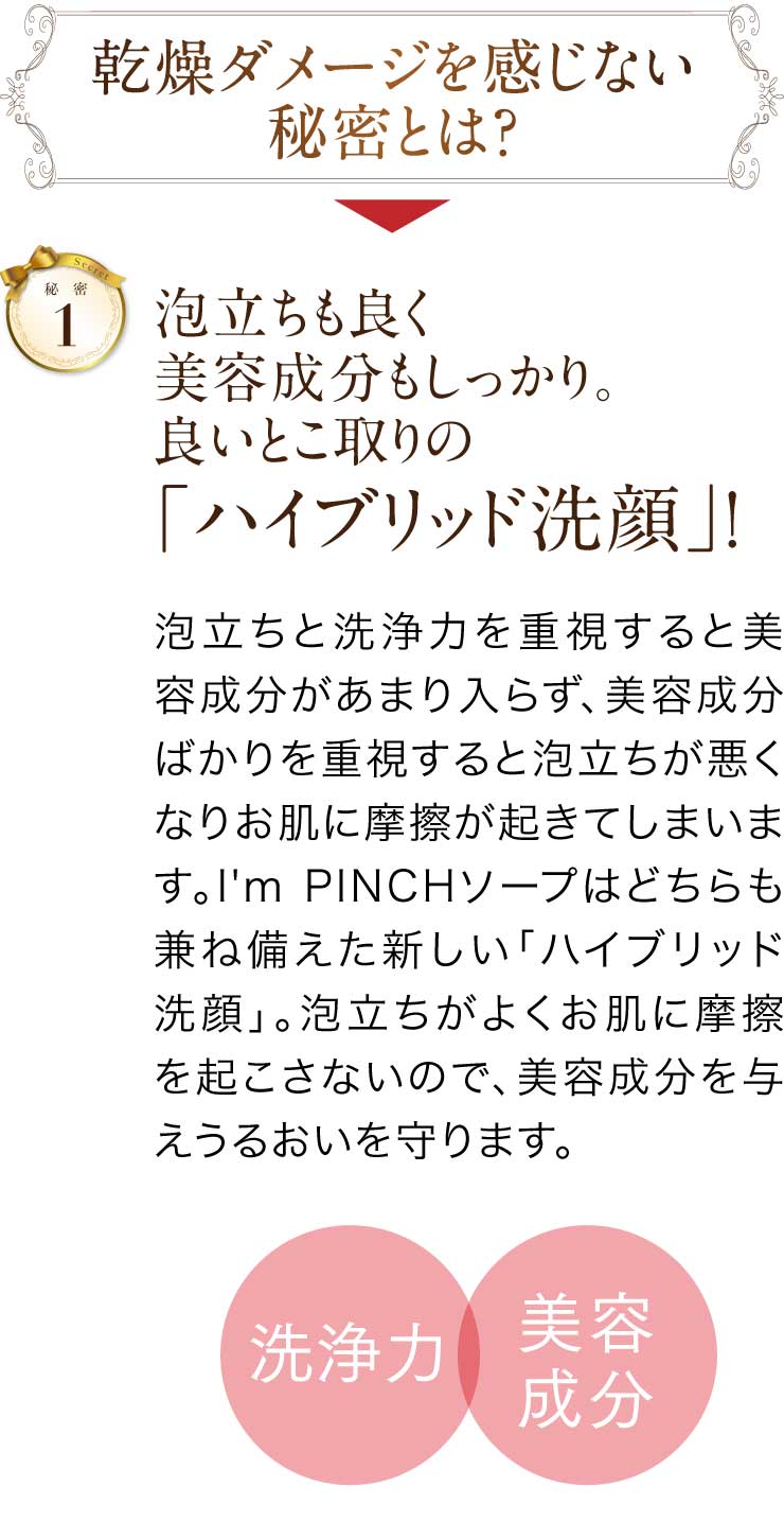 乾燥ダメージを感じない秘密とは？秘密1泡立ちも良く美容成分もしっかり。
良いとこ取りの「ハイブリッド洗顔」!泡立ちと洗浄力を重視すると美容成分があまり入らず、美容成分ばかりを重視すると泡立ちが悪くなりお肌に摩擦が起きてしまいます。
I'm PINCHソープはどちらも兼ね備えた新しい「ハイブリッド洗顔」。泡立ちがよくお肌に摩擦を起こさないので、美容成分を与えうるおいを守ります。