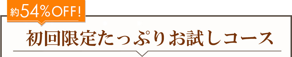 約52%OFF! 初回限定たっぷりお試しコース