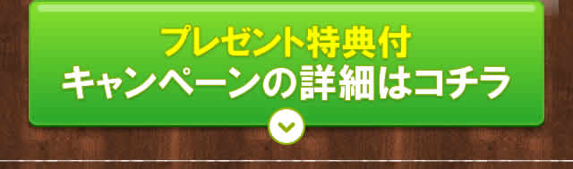 プレゼント特典付キャンペーンの詳細はコチラ