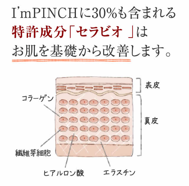 I'mPINCHに30％も含まれる特許成分「セラビオ」はお肌を基礎から改善します。