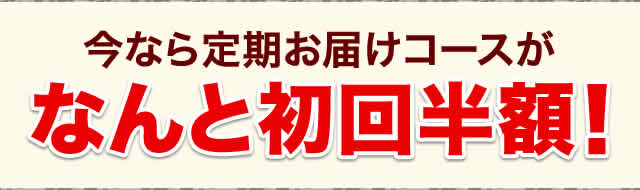 今なら定期お届けコースがなんと初回半額！