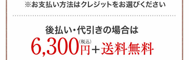 6,300円（税込）＋送料無料