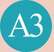 a3