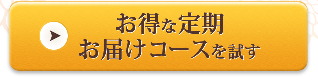 お得な定期お届けコースを試す