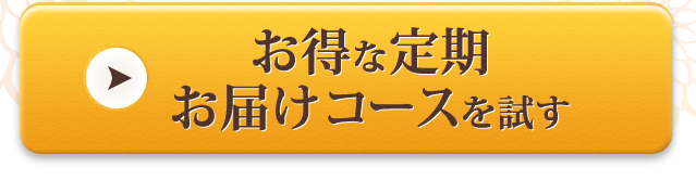 お得な定期お届けコースを試す
