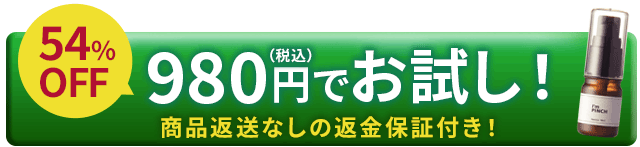 980円でお試し