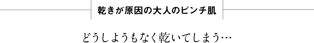 乾きが原因の大人のピンチ肌