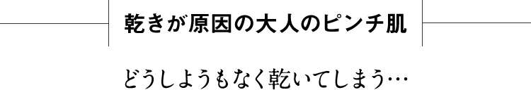 乾きが原因の大人のピンチ肌